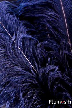 Autruche premium - 50-60 cm - noir